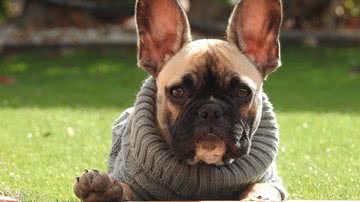 Ilustrativa / Pixabay