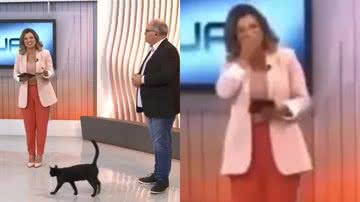 Reprodução/Tv Globo