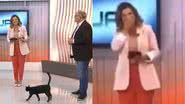 Reprodução/Tv Globo