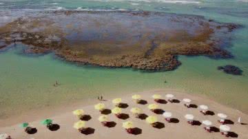 Divulgação/Prefeitura de Camaçari