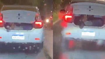 Reprodução/ Vídeo