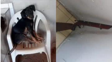 Reprodução/Redes sociais