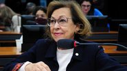 Deputada federal Lídice da Mata - Billy Boss / Câmara dos Deputados