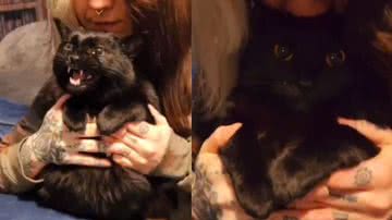 Reprodução / Instagram