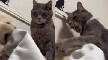 Reprodução / Instagram