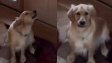 Reprodução/Tik Tok @otarianocontou2.0