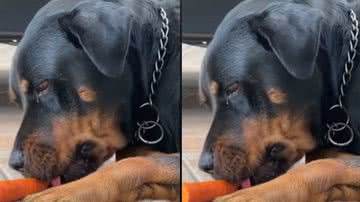 Reprodução/ Tik Tok