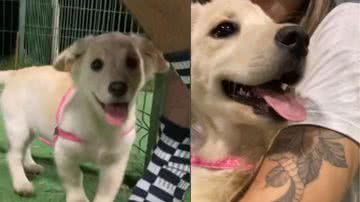 Reprodução/ Tik Tok