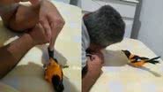 Reprodução/ Tik Tok