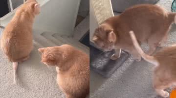 Reprodução / Instagram