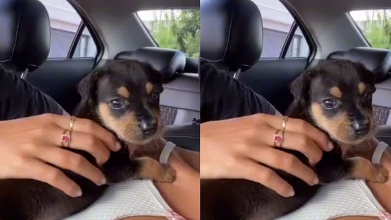 Reprodução/ Tik Tok