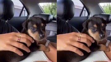 Reprodução/ Tik Tok