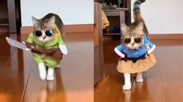 Reprodução/ Tik Tok