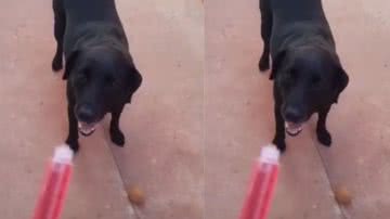 Reprodução / Instagram