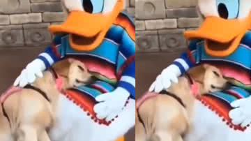 Reprodução / Instagram