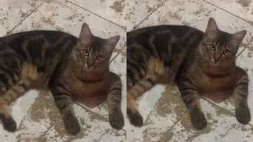 Reprodução / Instagram