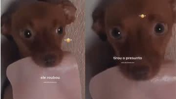 Reprodução / Instagram