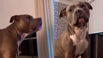 Reprodução / Instagram