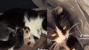 Reprodução / Instagram