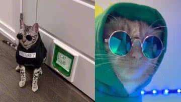 Reprodução/ Tik Tok