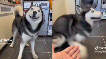 Reprodução/ Tik Tok