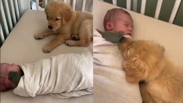 Reprodução/ Tik Tok