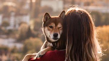 Ilustrativa / Pixabay