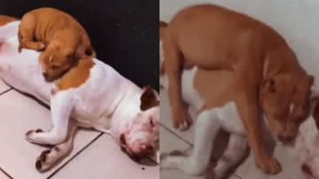 Reprodução / Instagram