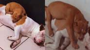 Reprodução / Instagram