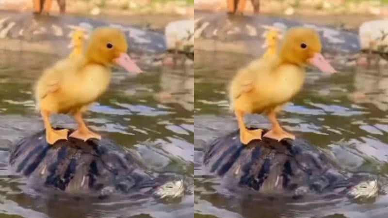 Reprodução / Instagram