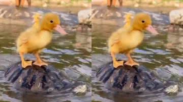 Reprodução / Instagram