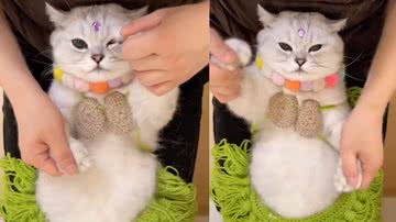 Reprodução / Instagram