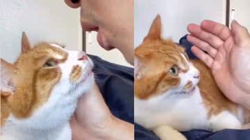 Reprodução / Instagram