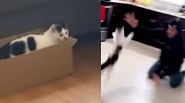 Reprodução / Instagram