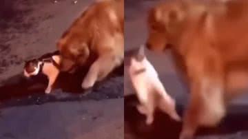 Reprodução / Instagram