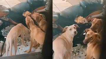 Reprodução / Instagram