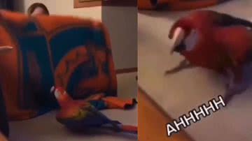 Reprodução / Instagram