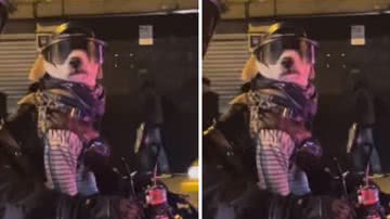 Reprodução / Instagram