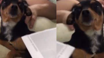 Reprodução / Instagram