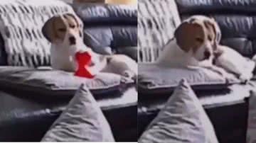 Reprodução / Instagram