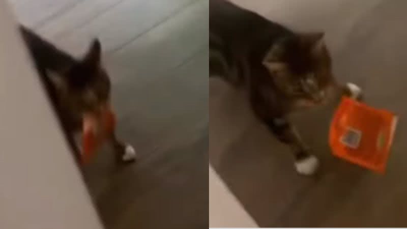 Reprodução / Instagram
