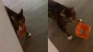 Reprodução / Instagram