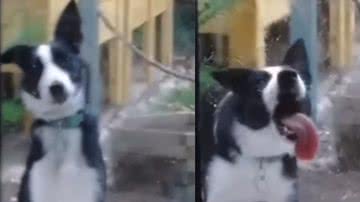 Reprodução / Instagram