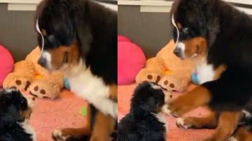 Reprodução / Instagram