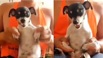 Reprodução / Instagram