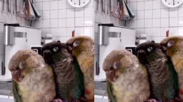 Reprodução / Instagram