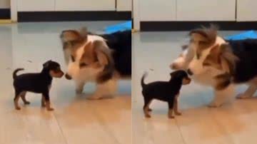 Reprodução / Instagram