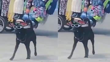 Reprodução / Instagram