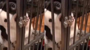 Reprodução / Instagram