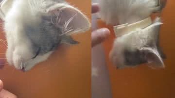 Reprodução / Instagram